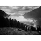 Fronebenalm im Stubaital/Tirol