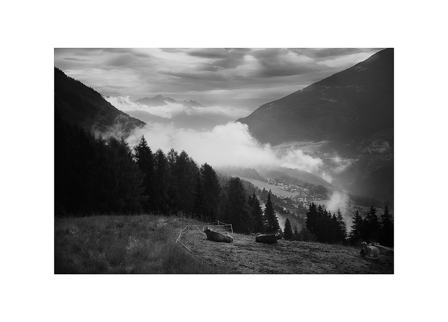 Fronebenalm im Stubaital/Tirol