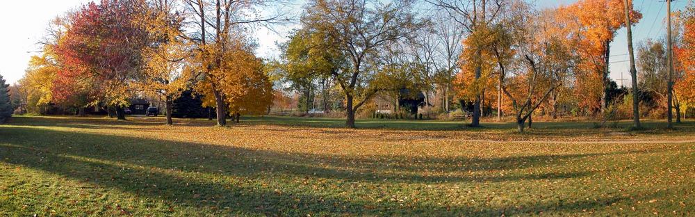 Front Yard