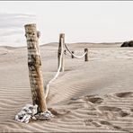 Fronteras in the Beach