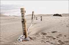 Fronteras in the Beach