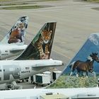 Frontier Airlines, Denver, Colorado, USA