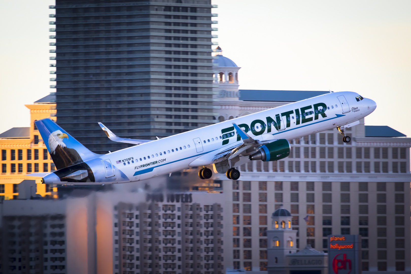 Frontier Airlines   ( Steve the Eagle )