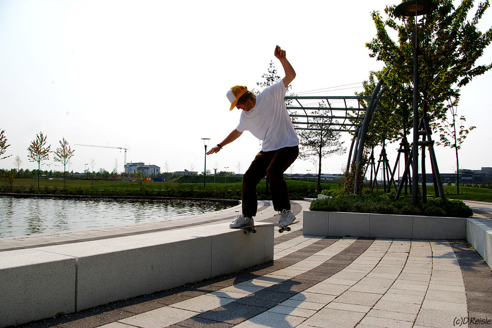 frontnose