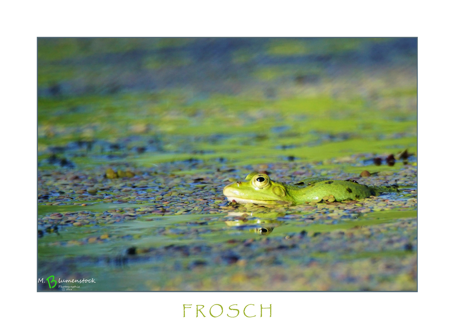 FROSCH