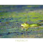 FROSCH