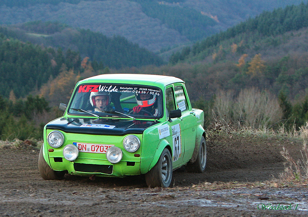 Frosch auf der Rallye Köln-Ahrweiler