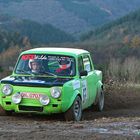 Frosch auf der Rallye Köln-Ahrweiler