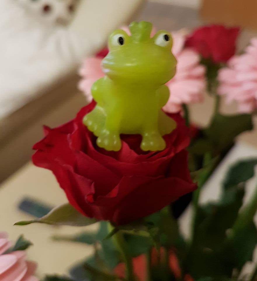 Frosch auf Rose