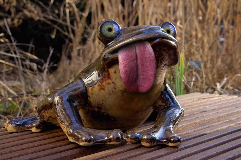 Frosch?