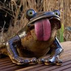 Frosch?