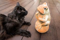 Frosch Freundschaft