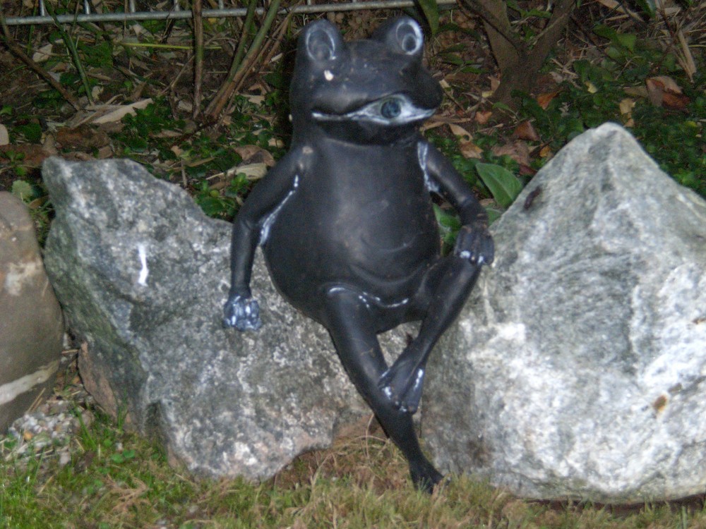 Frosch fröhlich