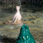 Frosch im Brunnen