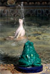 Frosch im Brunnen