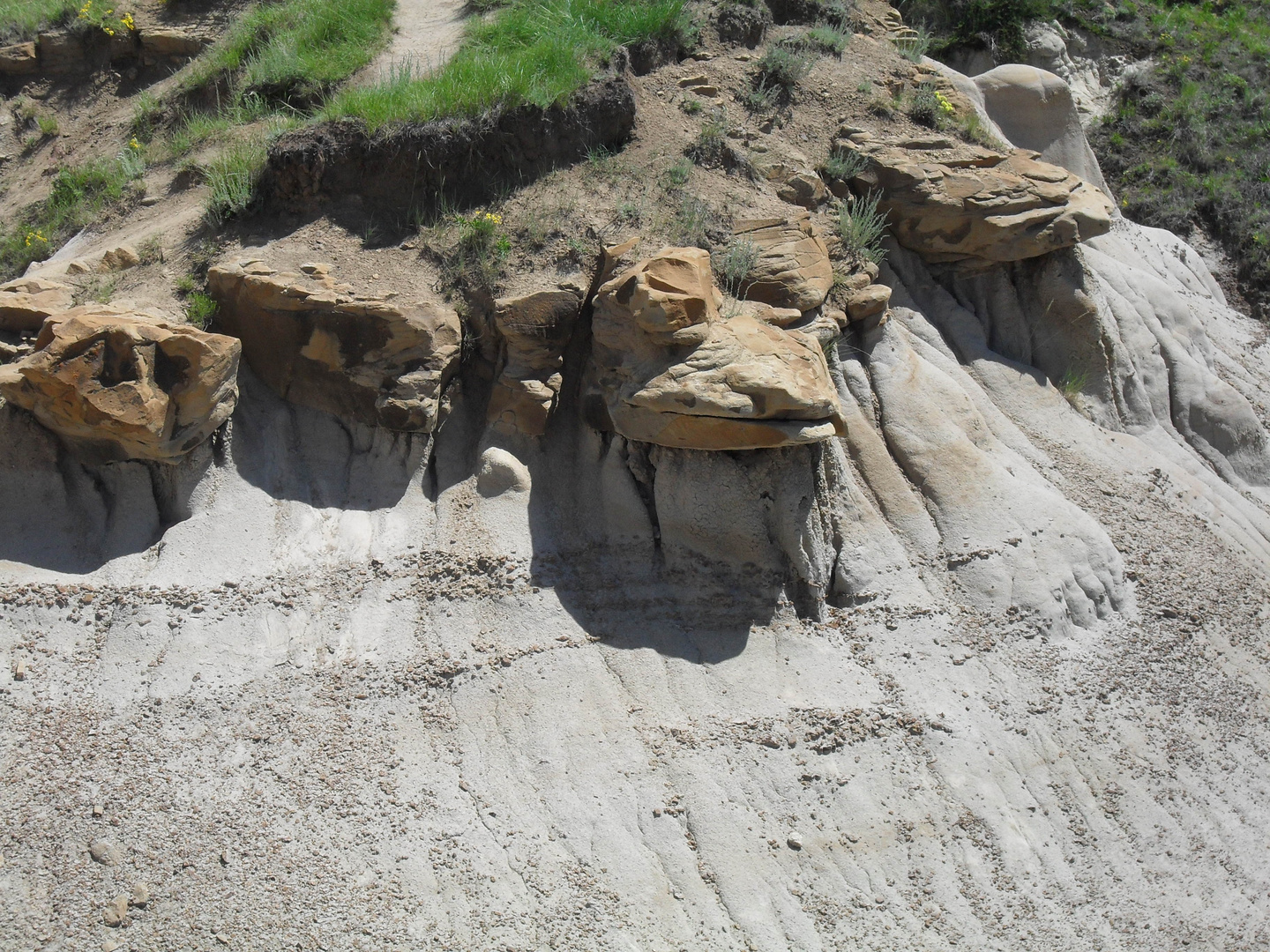 Frosch im Fels oder doch Hoodoos?