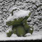 Frosch im Schnee