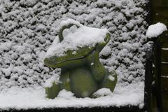 Frosch im Schnee