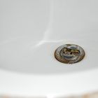 Frosch im Waschbecken