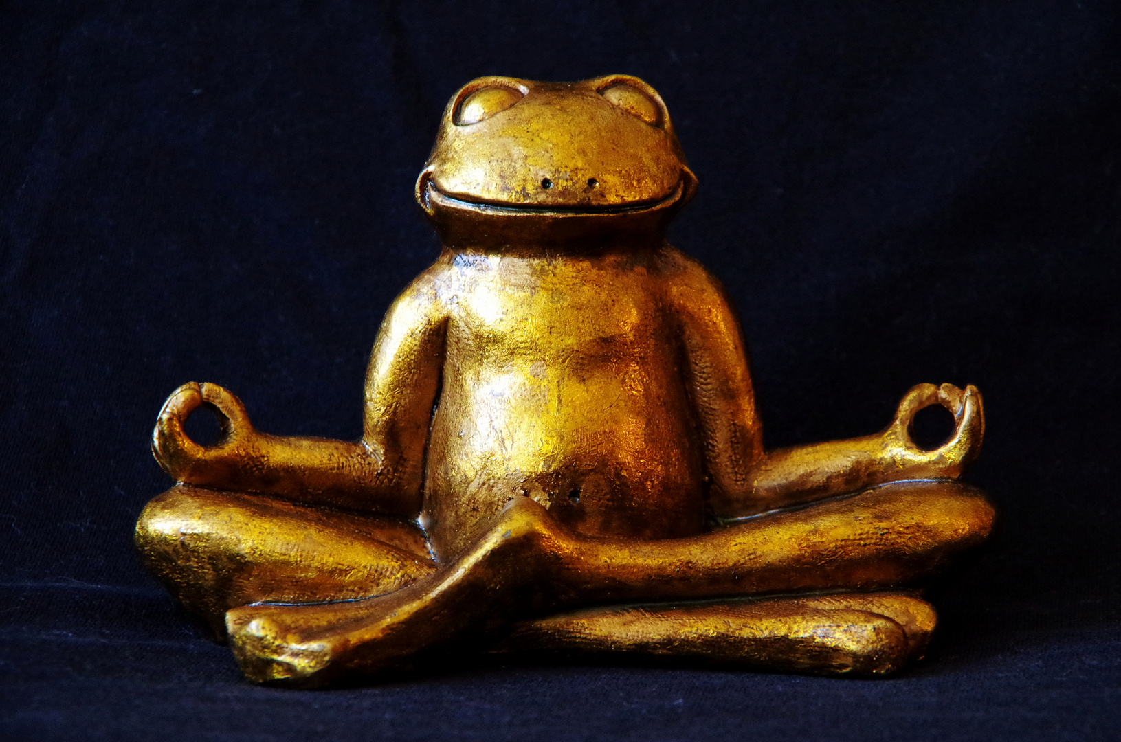 Frosch - meditierend 