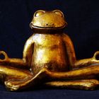 Frosch - meditierend 