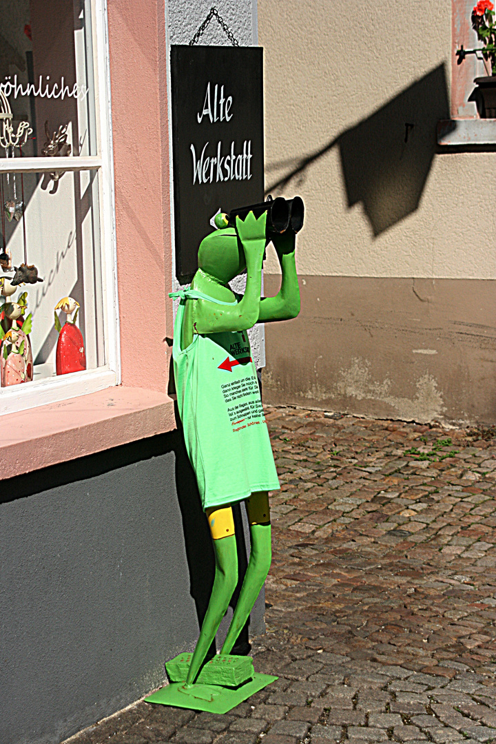 Frosch mit Weitblick !!