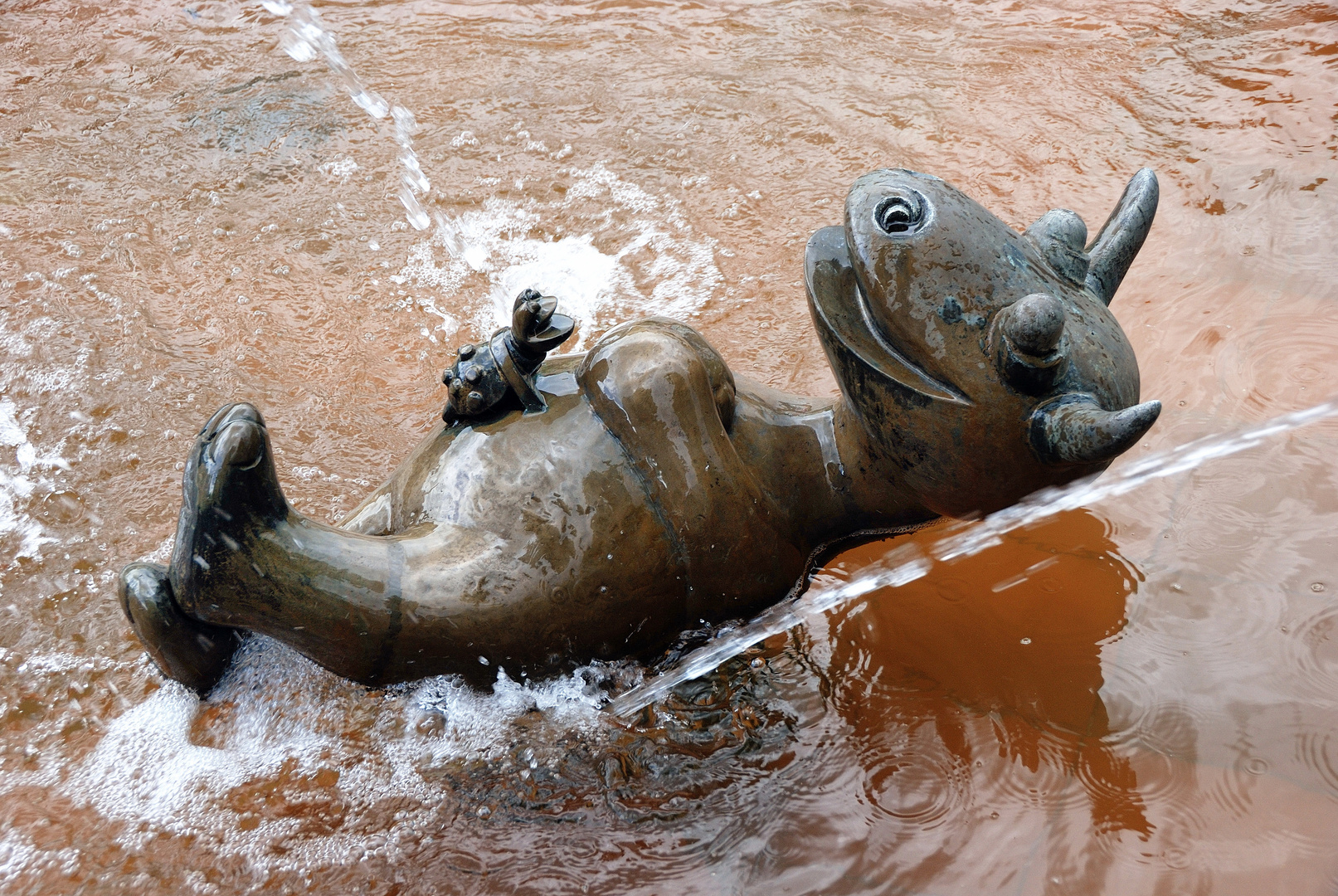 Frosch und Stier - welch eine Zier!