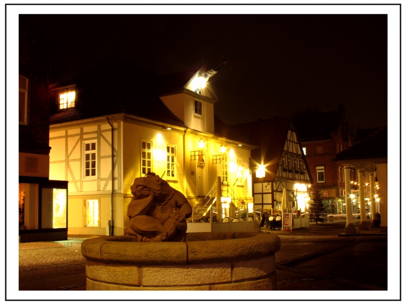 Frosch vor "Altem Rathaus" in Neustadt am Rübenberge