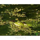 FROSCH2