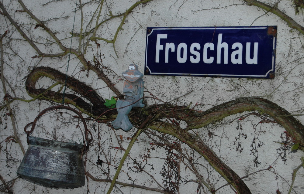 Froschauweia