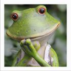 User Profile Photo