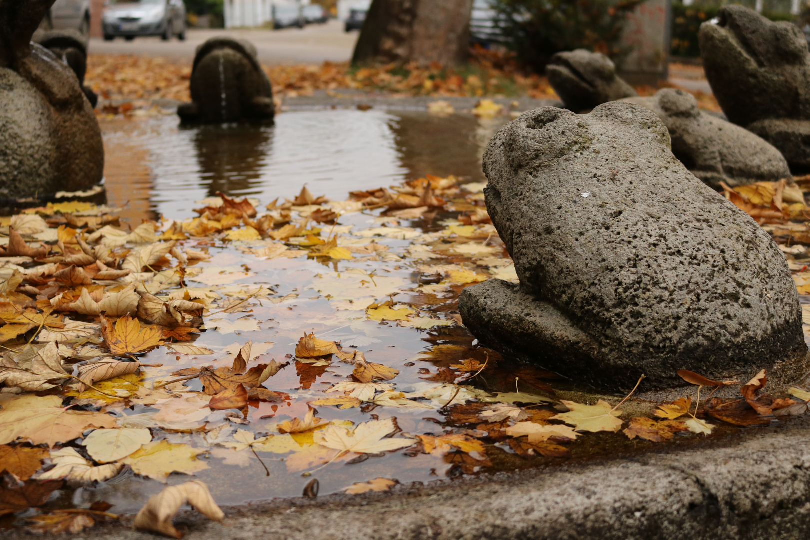 Froschbrunnen