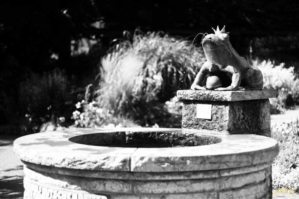 Froschbrunnen | Botanischer Garten | Hof