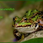 Froschfantasien