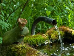 Froschkönig (1)  oder  Im Garten, ...