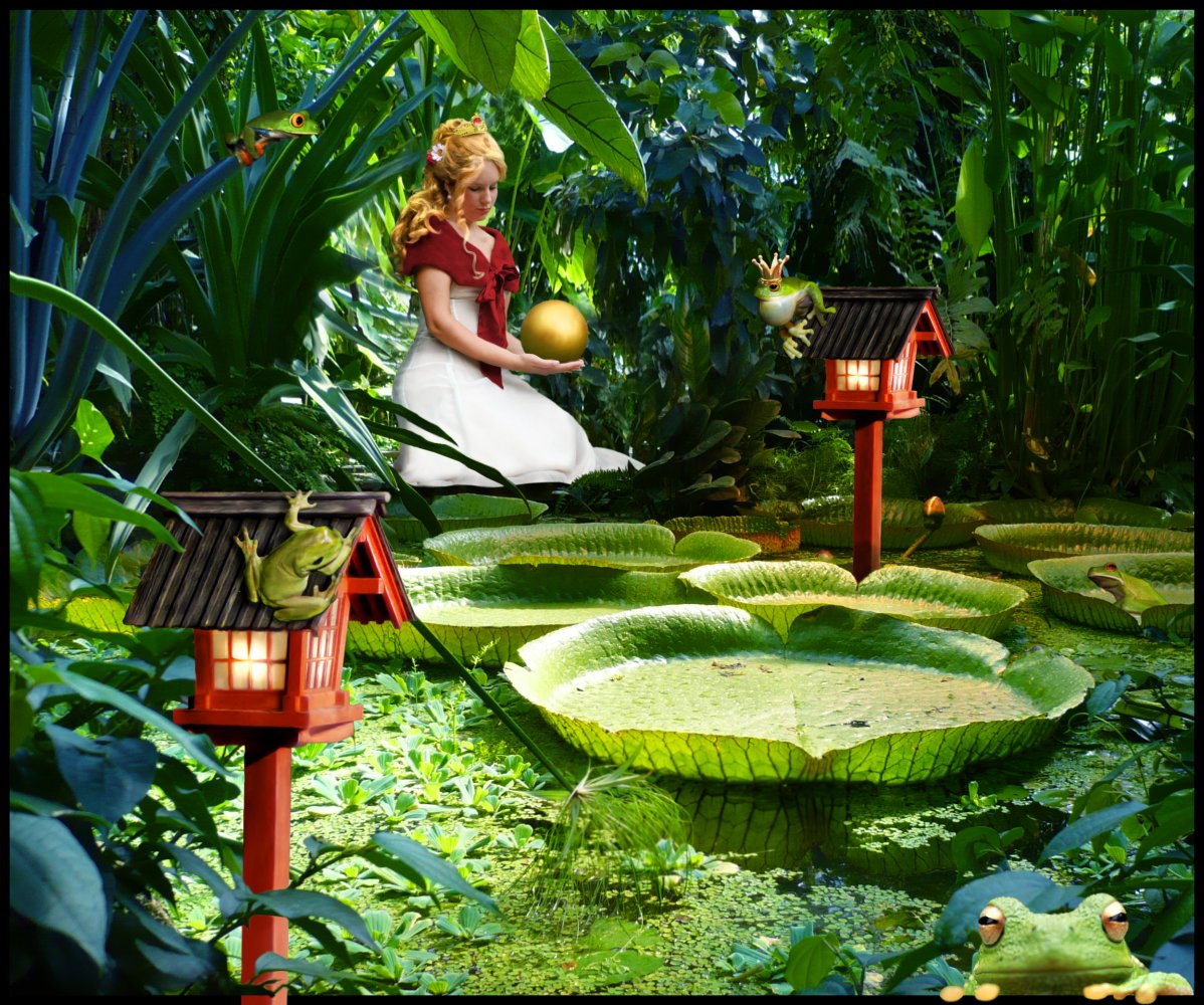 Froschkonig Foto Bild Fotomontage Fantasy Mystery Projekte Composing Bilder Auf Fotocommunity