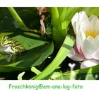 Froschkönig