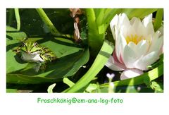 Froschkönig