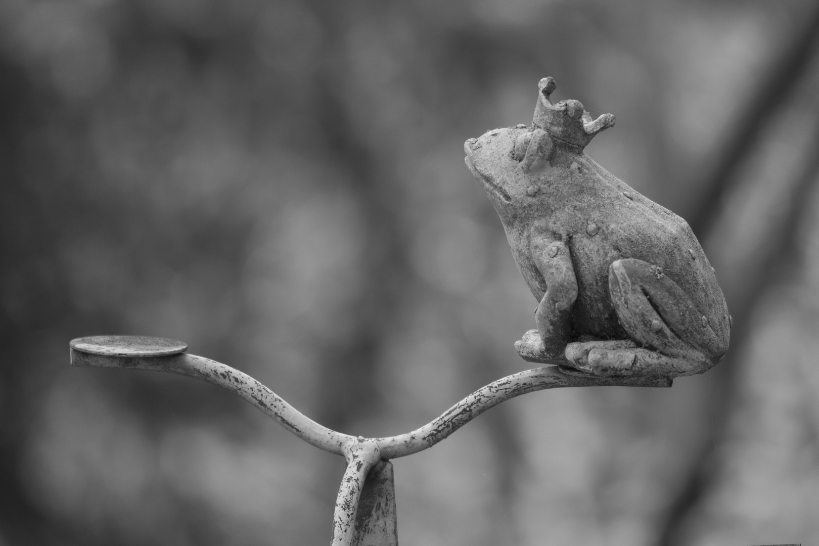 Froschkönig auf der Wippe