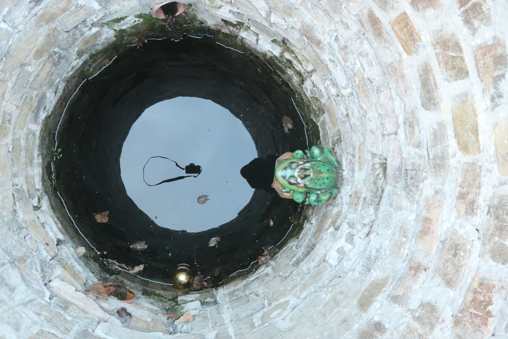 Froschkönig Foto & Bild trick, brunnen, selbstauslöser Bilder auf