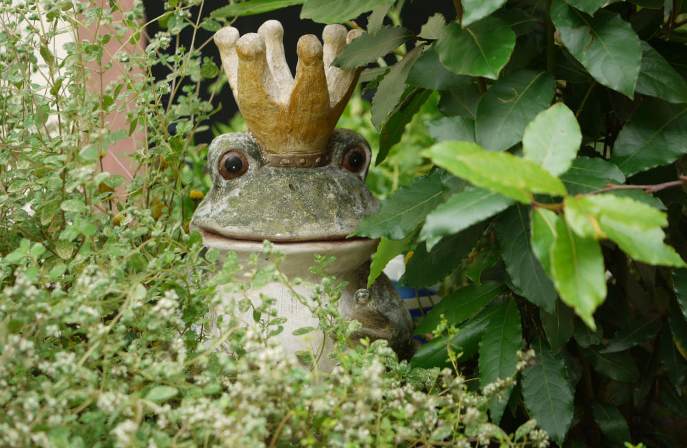 Froschkönig