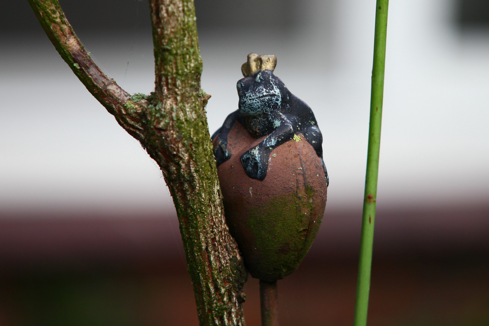 Froschkönig