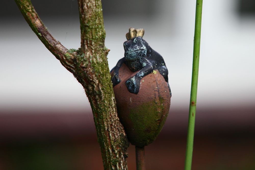 Froschkönig