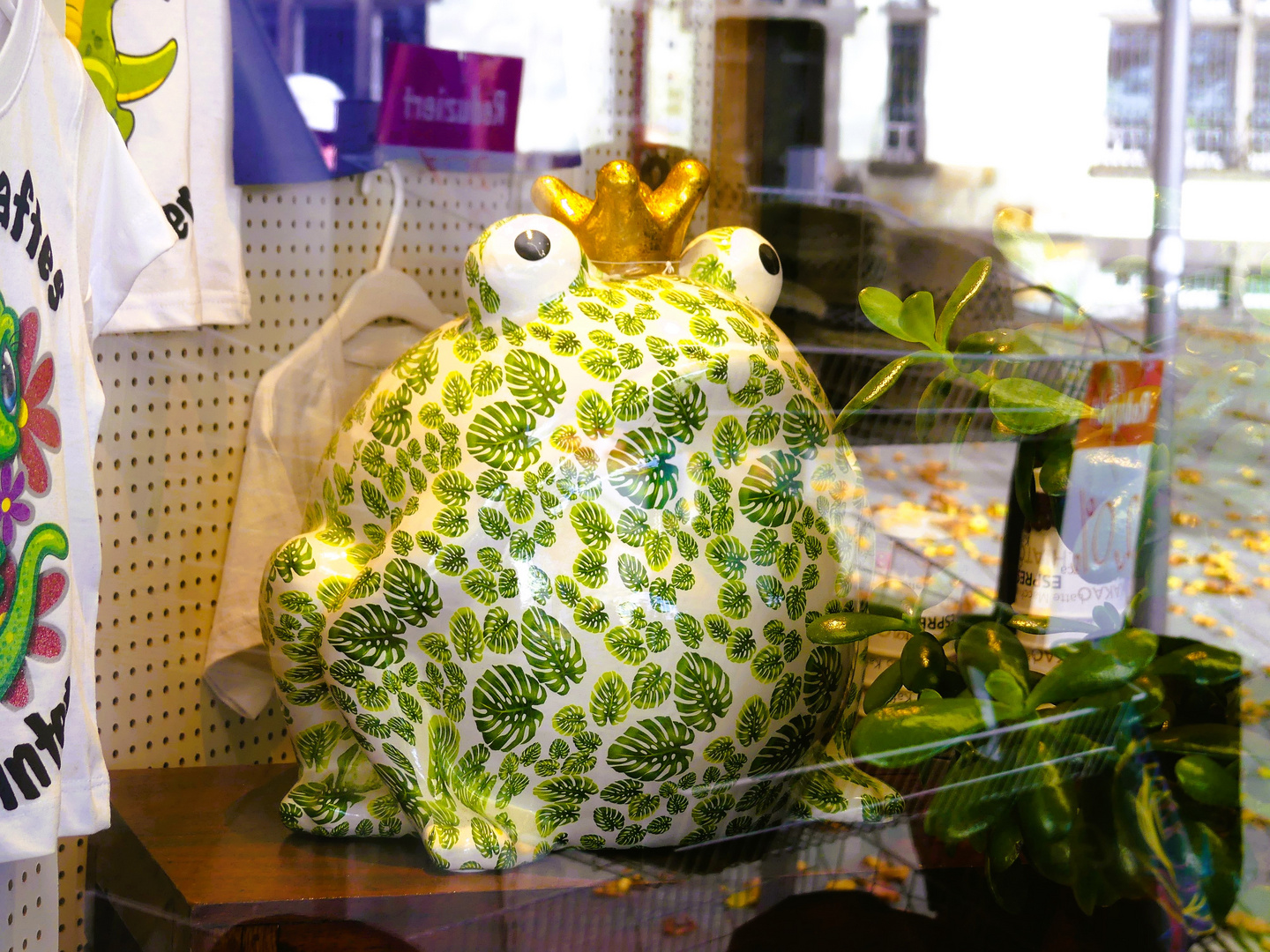 Froschkönig thront im Schaufenster...