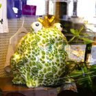 Froschkönig thront im Schaufenster...