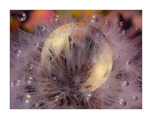 Froschkönigs Zauberkugel