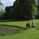 Froschkonzert im botanischen Garten