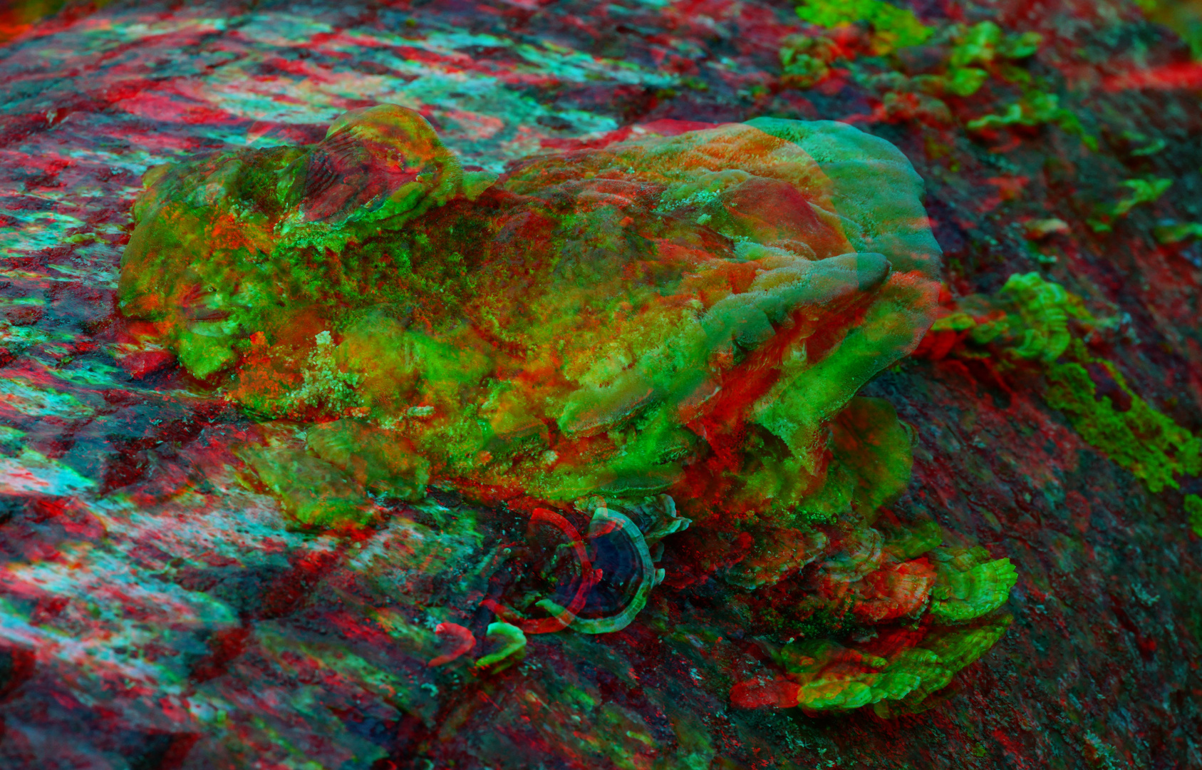 Froschpilz kurz nach der Bruchlandung  (3D-ANA)