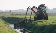 Froschschenkel im Tagebau?