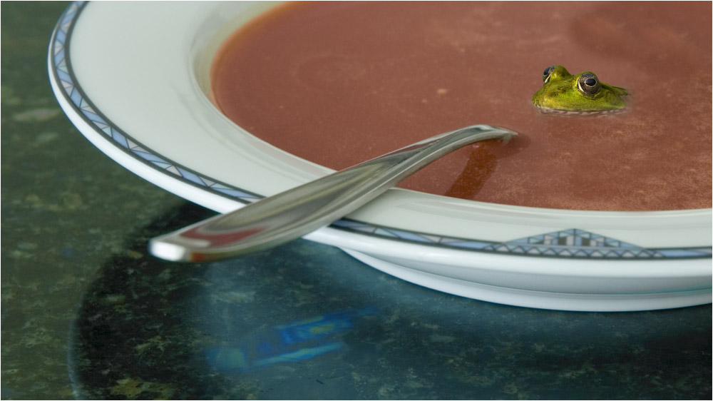 Froschsuppe